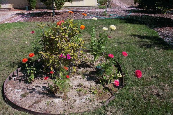 Flowers in front of the house