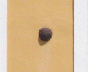 Closeup of canon ball