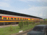 The train