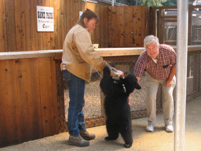 Petting the bear cub