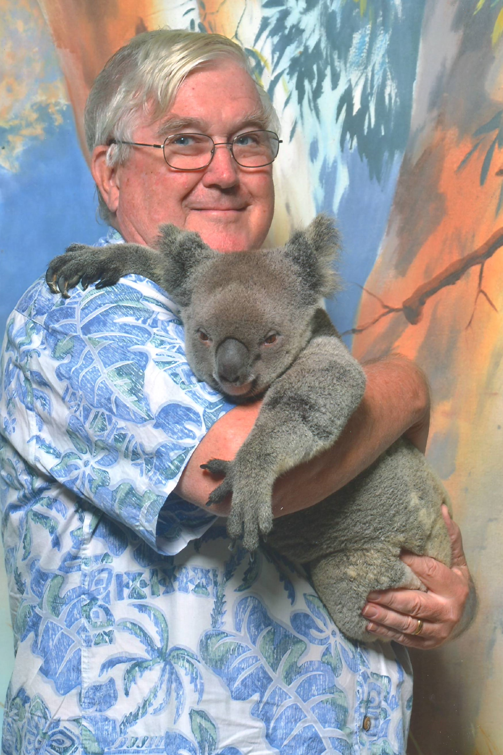 koala 2