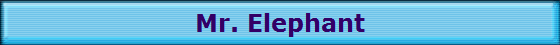 Mr. Elephant