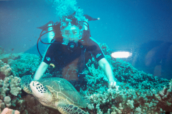 In the Ocean