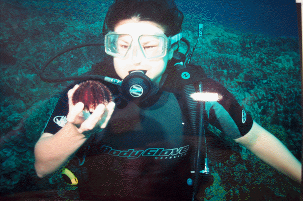 Some sea life