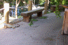 Friendly visitors