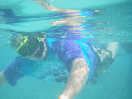 More sea life