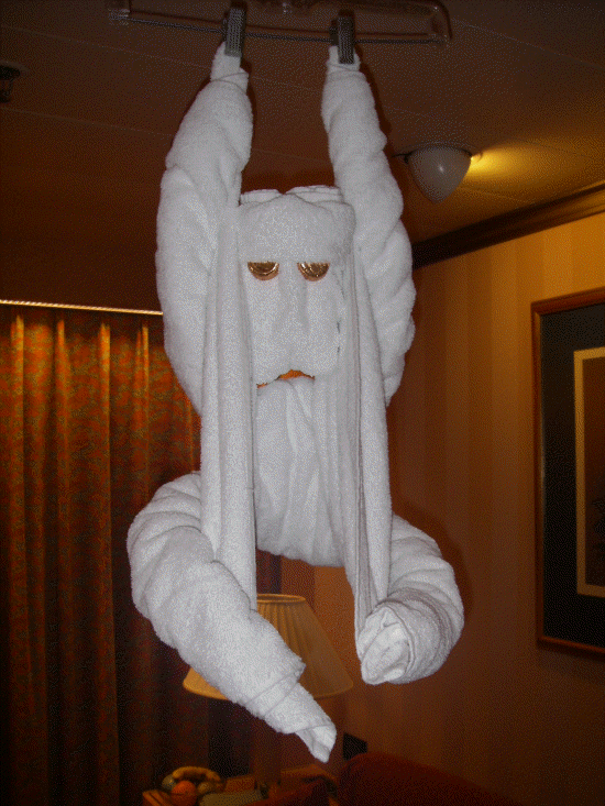 Monkey hanging around our cabin