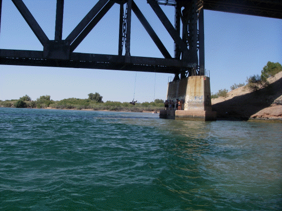 Kids jumping from the bridge