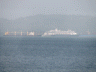 Zandam seen from the train