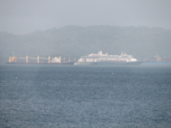 Zandam seen from the train