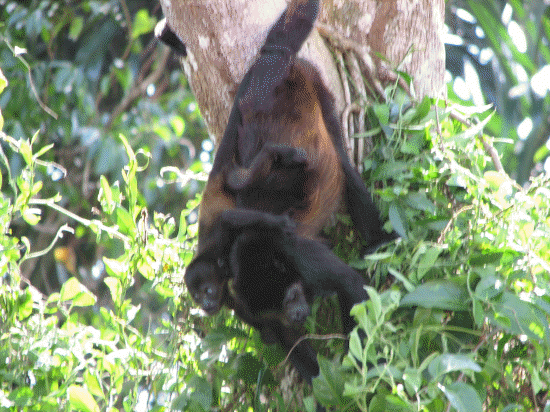 Mother and baby