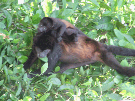 Mother and baby