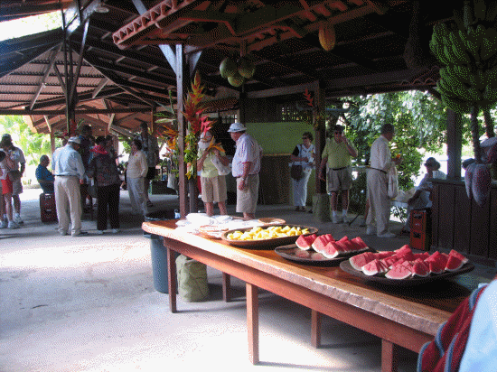 Fresh fruit at the end of the boat ride