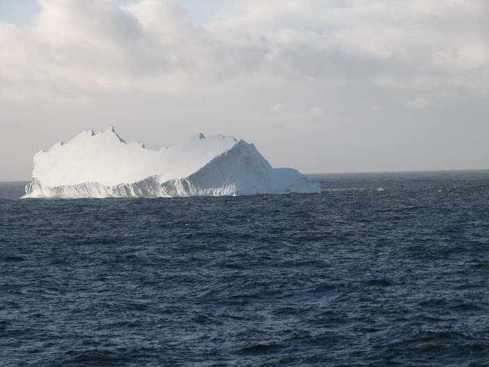 Mr. Iceberg