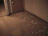 Honeymoon Suite