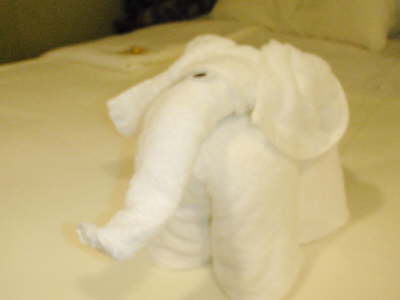 Mr. Elephant