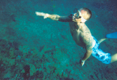 Strange Fish?